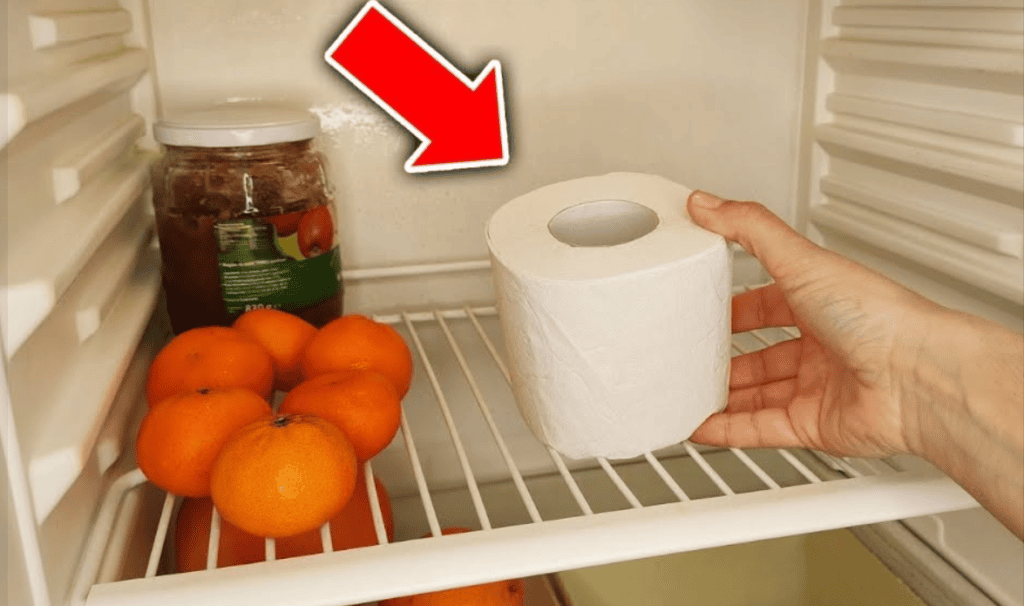 Por que é importante guardar papel higiênico na geladeira? Um segredo que poucas pessoas conhecem.